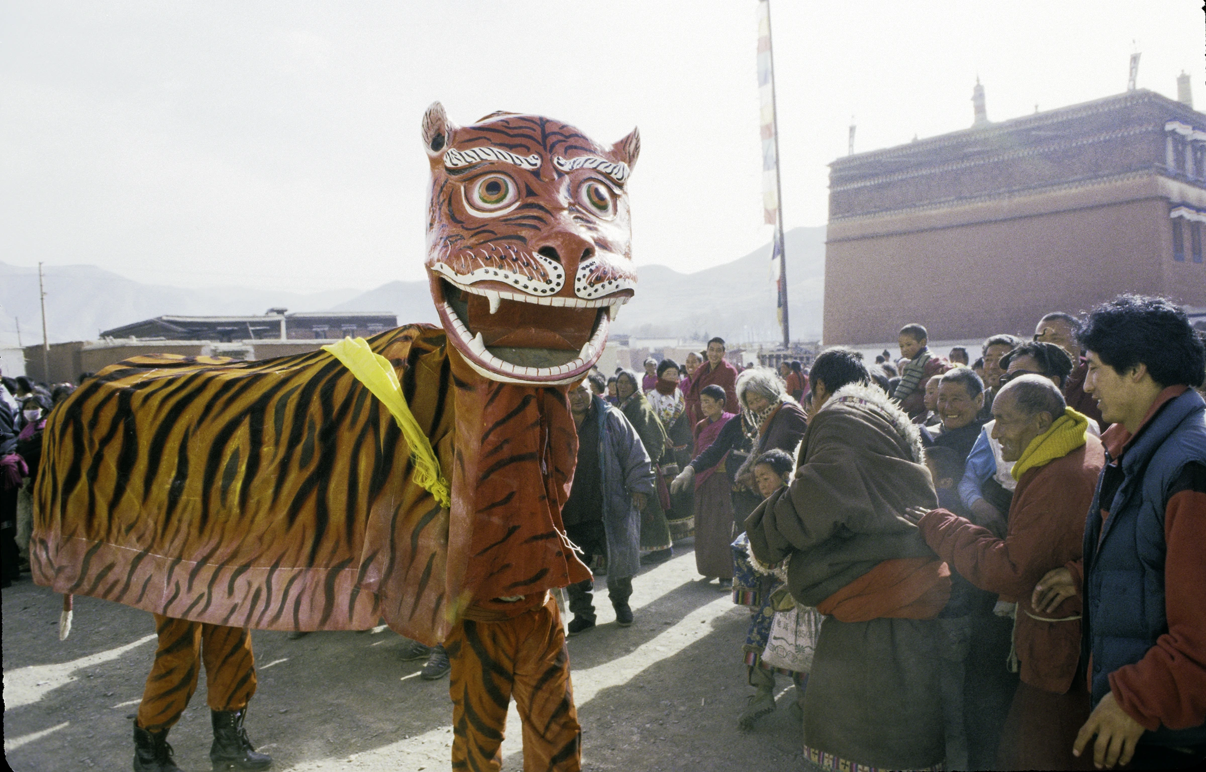 thetiger.jpg