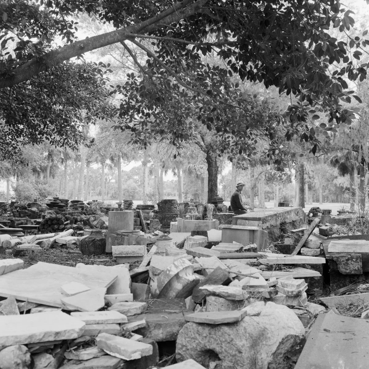 Cy Twombly by Tatiana Franchetti