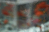 Girl Watching Goldfish