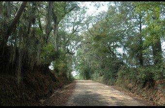 Zed Creek Road