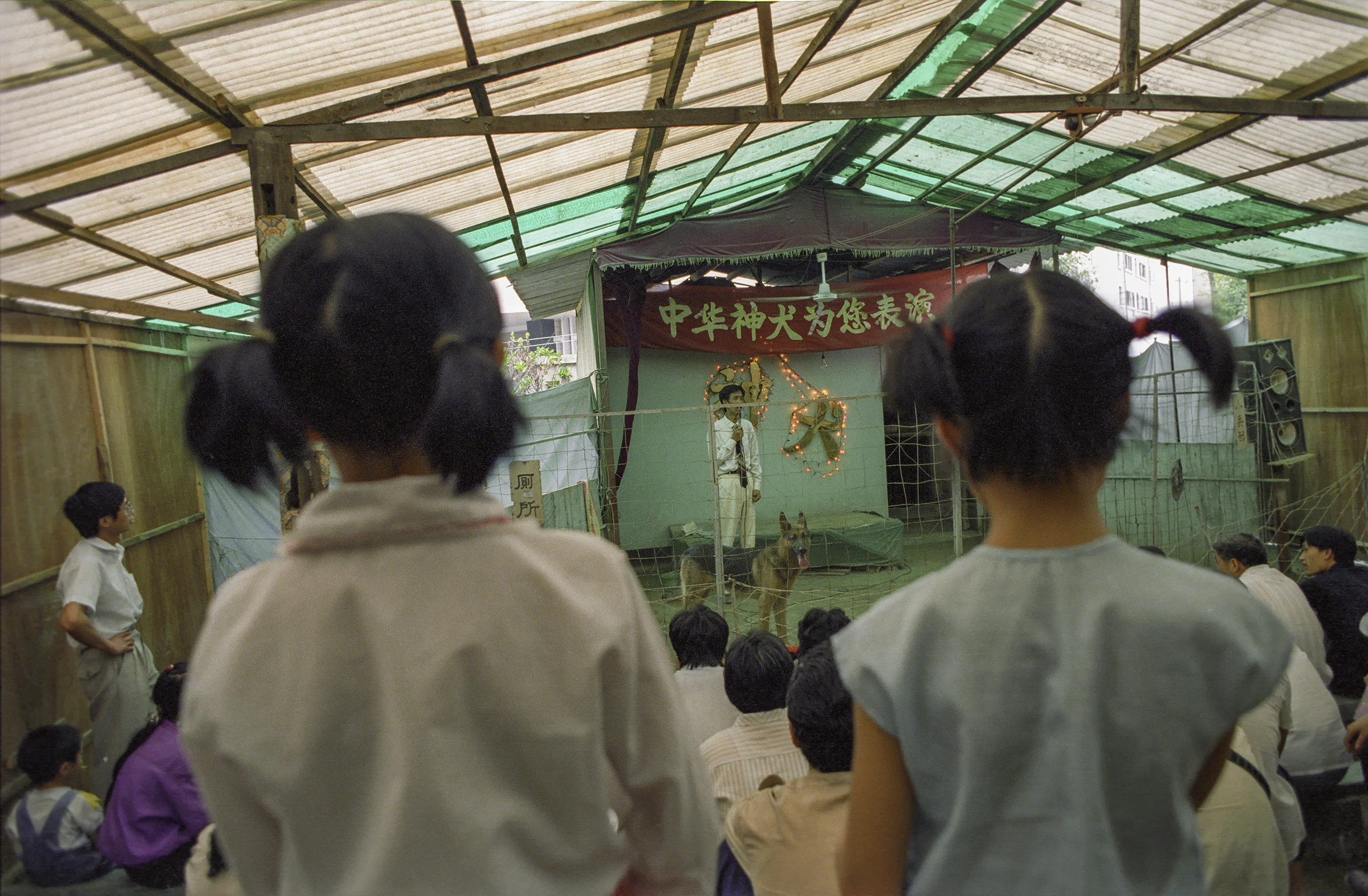 dogshow