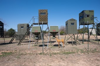 _RG02265