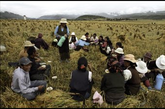Field Workers