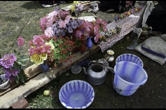 Flower Festival 2