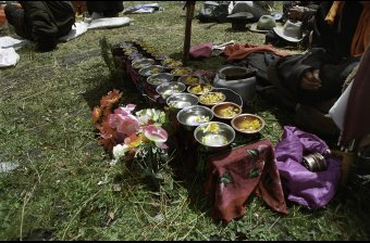 Flower Festival 3