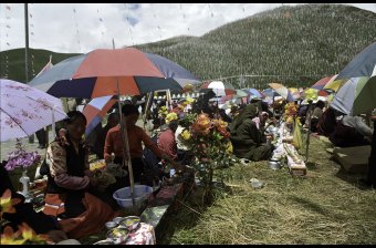 Flower Festival, The Scene