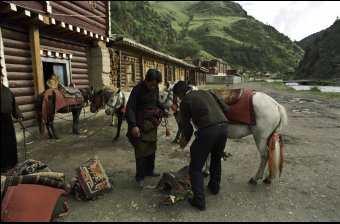 Heading out to Pasture, Nogmoon Villages