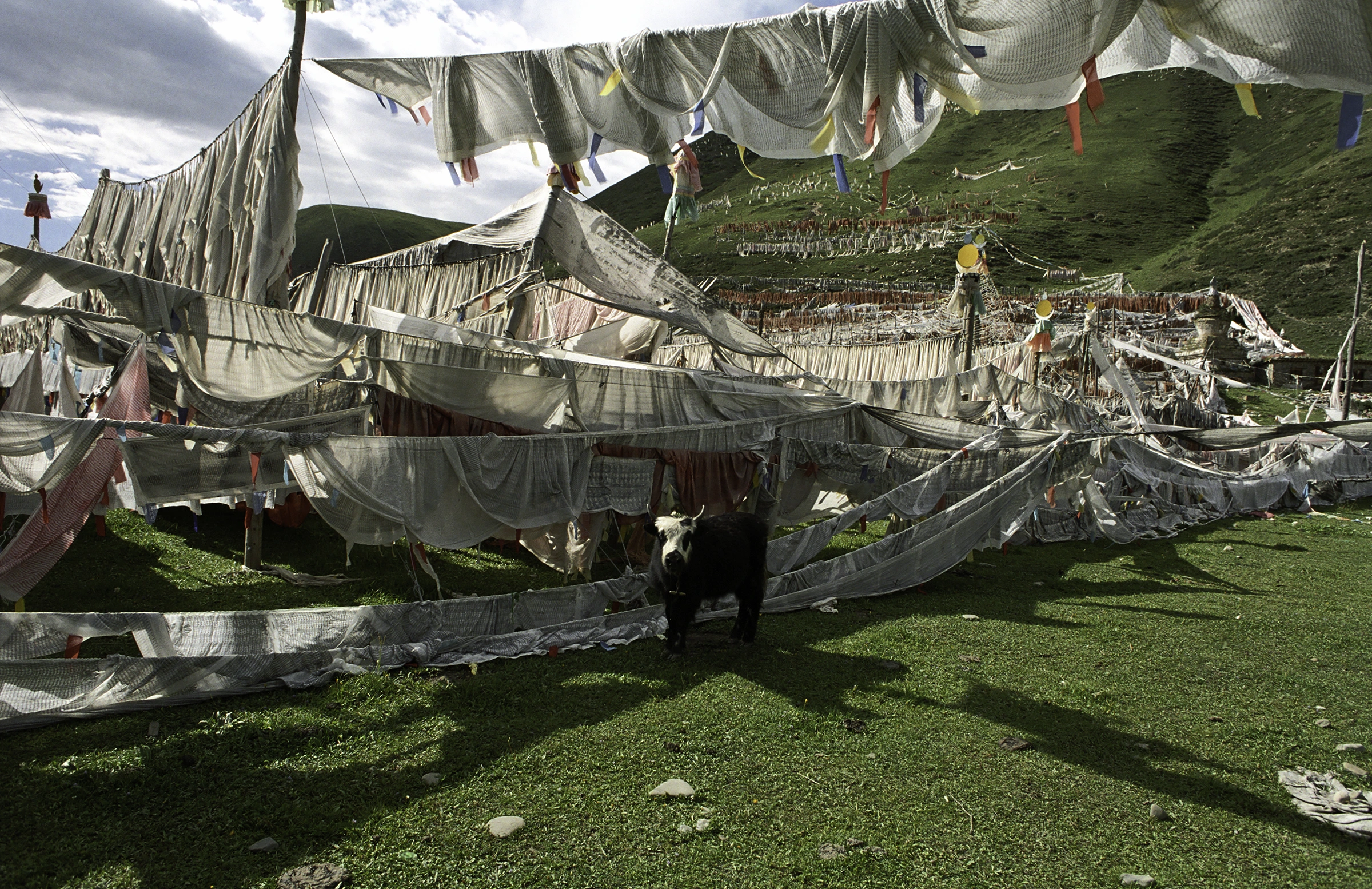 prayerflags.jpg