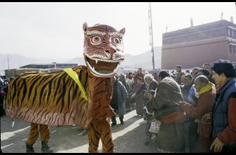 The Tiger