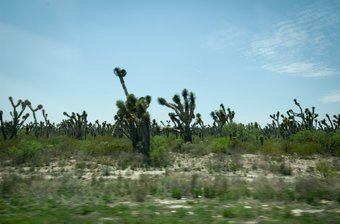 DSC_1438