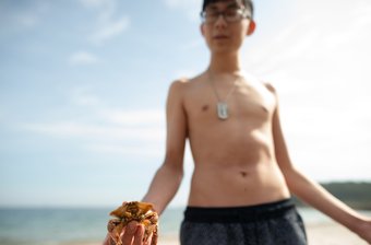 Crab