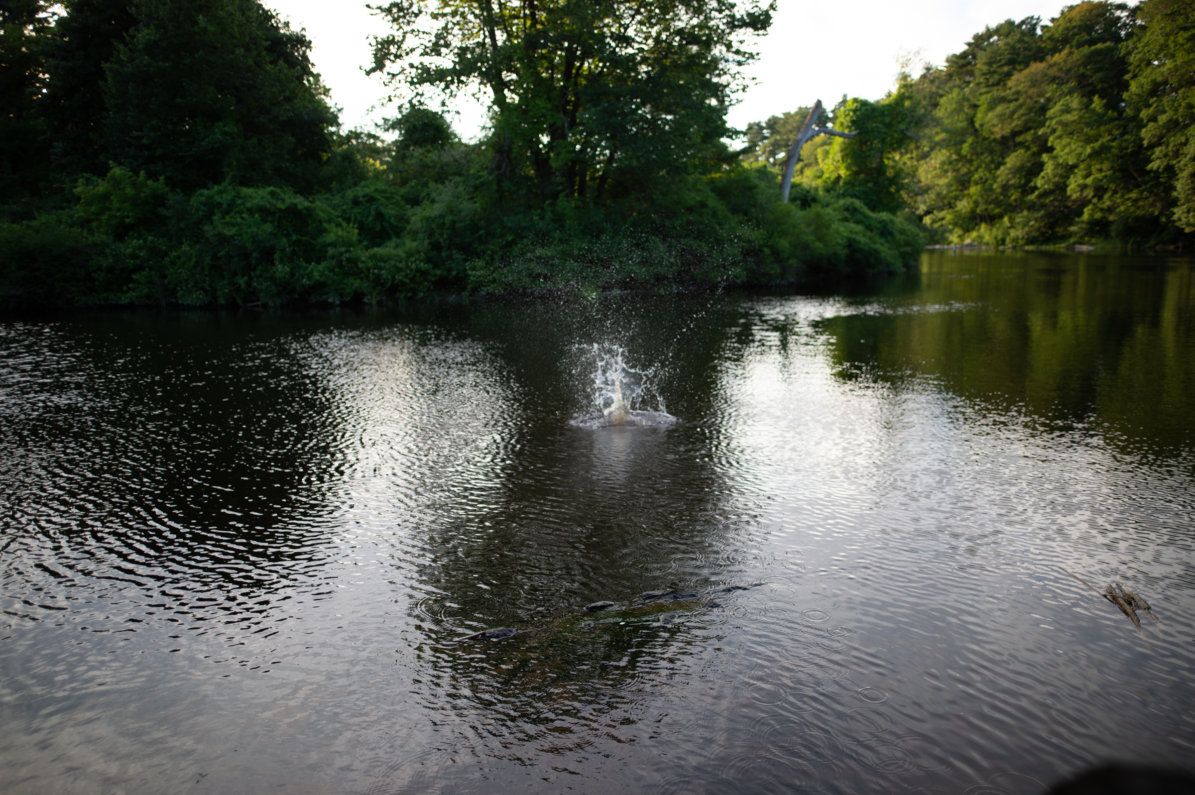 _DSC5119
