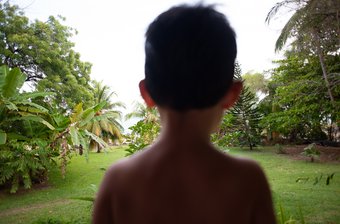 Jungle