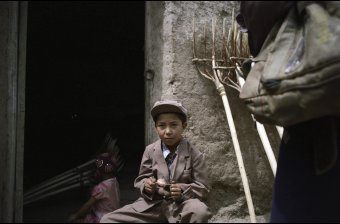 Boy and Rakes 
