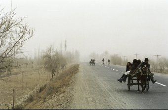 Carts on the Kashgar to Hotan Road