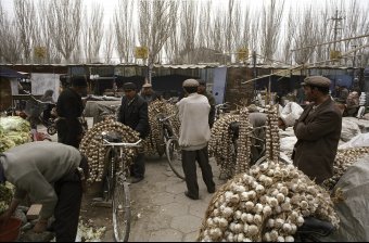 Garlic Bikes