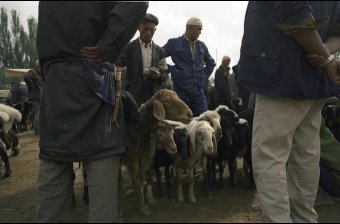 Goat Men
