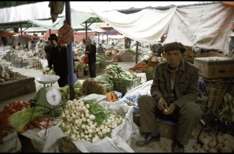Onion Man