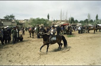 Young Horseman